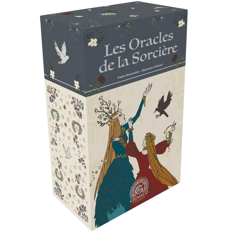 Oracle Histoires de sorcières jeu de cartes divinatoires Français+