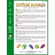 Potion Magique