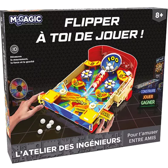 Atelier Des Ingénieurs - Flipper