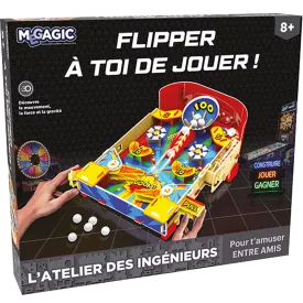 Atelier Des Ingénieurs - Flipper