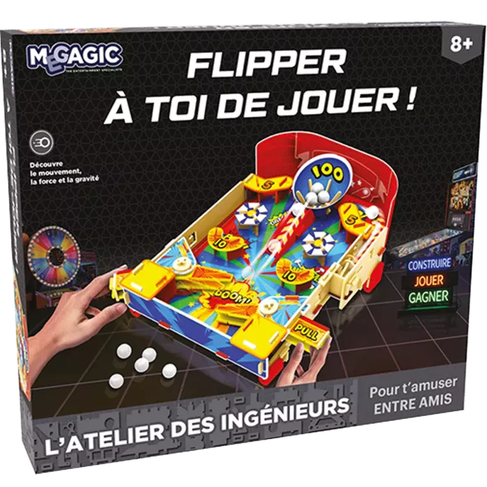 Atelier Des Ingénieurs - Flipper